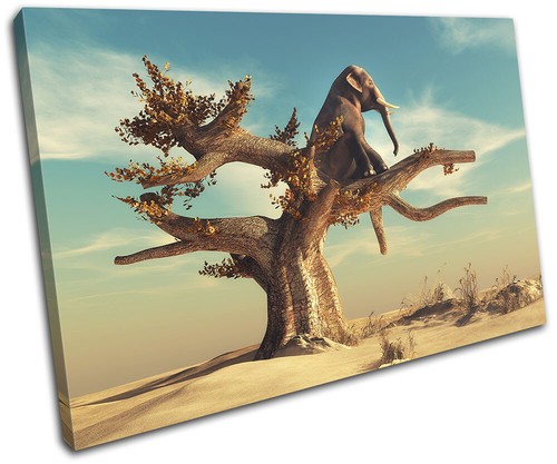 Elephant tree desert - elephant,