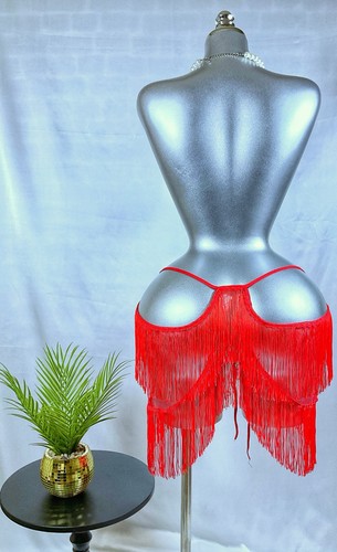 Sexy red fringe lingerie - sexy,