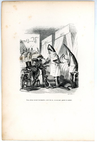 Animaux savants granville 1842 - savants,