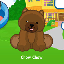 Webkinz Chow Chow Virtual PET