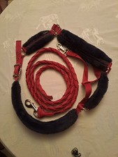 Longe + licol cheval