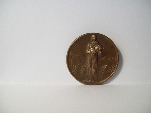 Médaille suisse broche lviii - médaille,