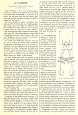 LE PLASTOSCOPE / UNE COLONIE