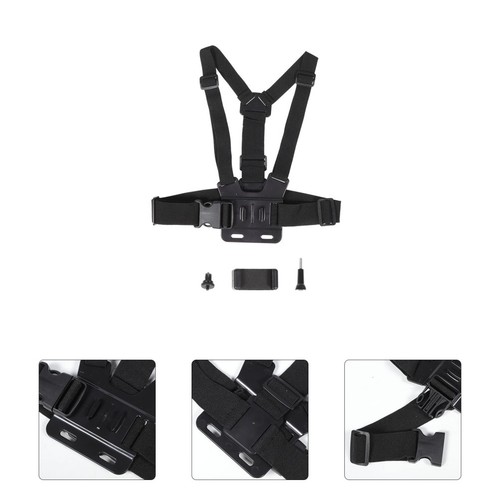Ceinture pectorale pour - pectorale,