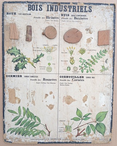 Rare très ancienne - très,