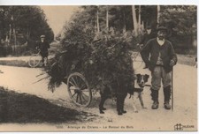 Reproduction de CPA - Attelage de Chiens - Le Retour du Bois