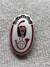 INSIGNE  11° RC  BERLIN  FFA