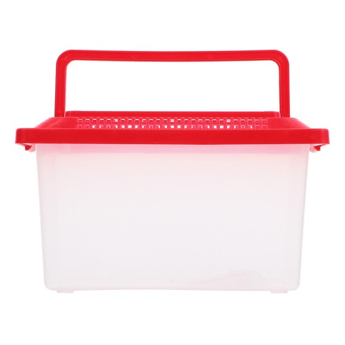 Bocal poissons avec - poissons,