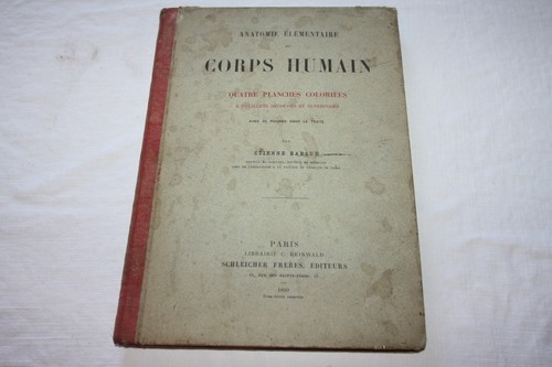 Rabaud anatomie - rabaud, /