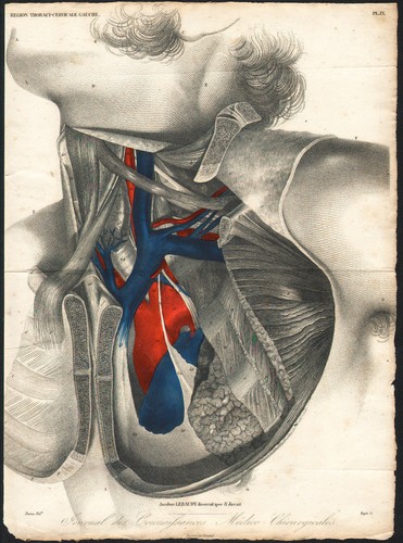 1835 gravure originale - 1835,