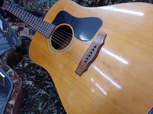 Guild d25nt - d25nt,