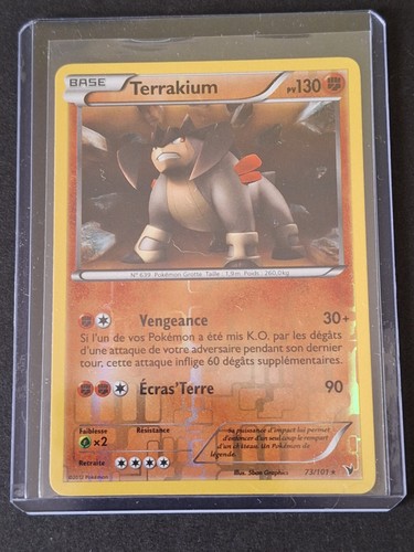 Terrakium reverse 101 - reverse, 73/101