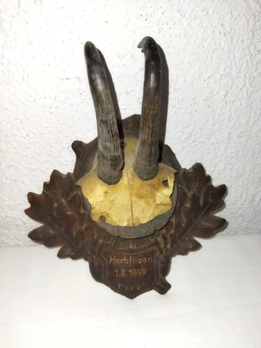 Trophée chasse autriche - de,