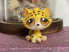 🌸Petshop Chat Gouttière