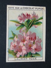 CHROMO CHOCOLAT PUPIER 1930 SERIE 40 FLEURS LAURIER ROSE