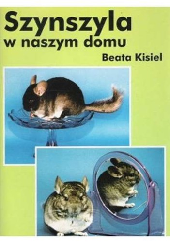 Szynszyla naszym domu kisiel - domu,