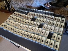 Lot de 100 blocs de résine avec spécimens d'insectes