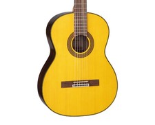 Takamine GC5 G Series