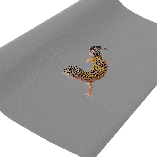 Fournitures pour reptiles - fournitures,