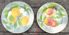 2 assiettes en barbotine