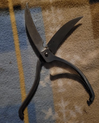 Ancien vintage secateur - ancien,