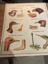 Carte Affiche Scolaire