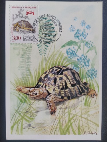 Carte premier jour timbre - carte,