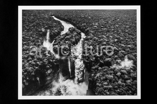 Sebastiao salgado genesis - salgado,