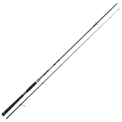 Canne pêche hearty rise - canne,