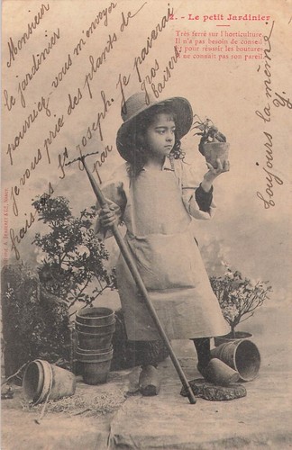 Bergeret petit jardinier - cp,