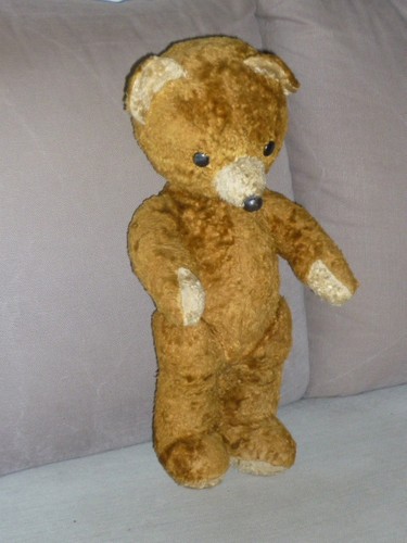 Ancien ours nounours - ours,
