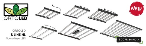 Ortoled lampe led - ortoled,