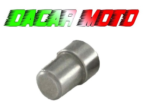 Perno guida variateur piaggio - variateur,