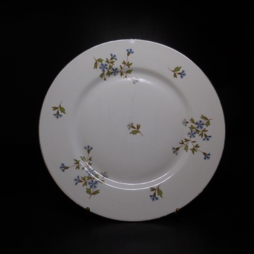Assiette plate céramique