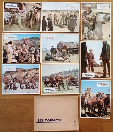 Cow boys john wayne - cow,