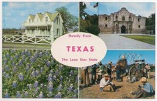 howdy  from texas , "the lone star state"