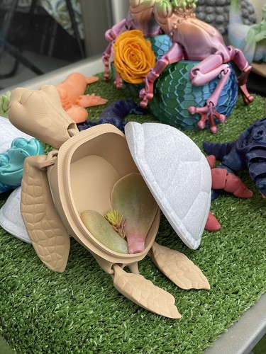 Tortue imprimée 3d - tortue,