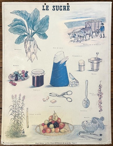 Ancienne affiche scolaire - 🍬,