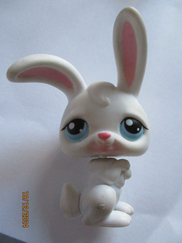 Petshop lapin garenne - petshop, /