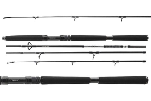 Canne voyage daiwa bg - voyage,