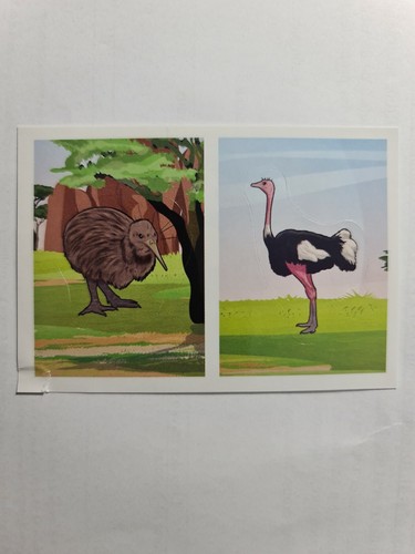 Image sticker autocollant
