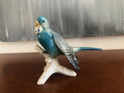 Perruche bleue porcelaine - bleue, en