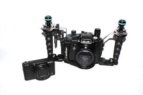 Photographie sous marine - photographie, sous-marine