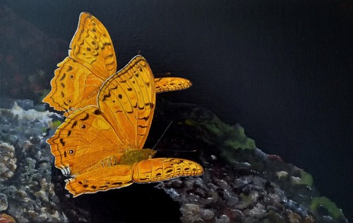 Tableau portrait papillons - "portrait,