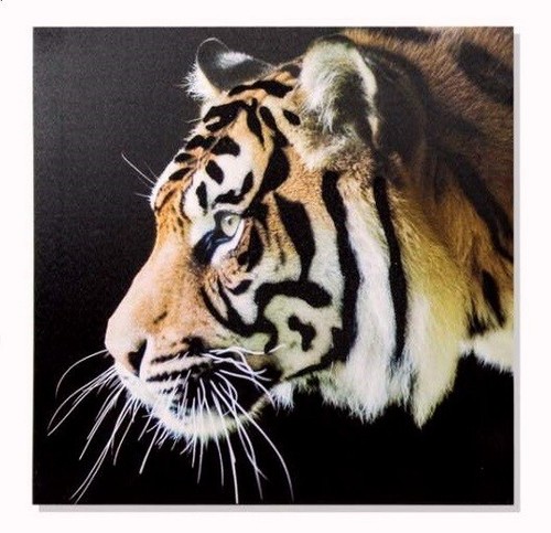 Cadre toile tableau - , tigre