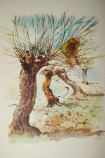 HANS ERNI ABEILLE L'ESSAIM GRAVURE 1954 ENGRAVING COULEURS VELIN OFFSET R3805