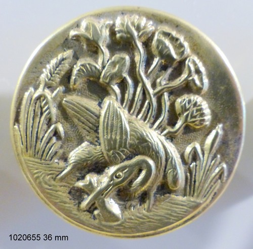 Gos bouton heron - .,