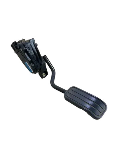 Tdi e gas - t4, e-gas