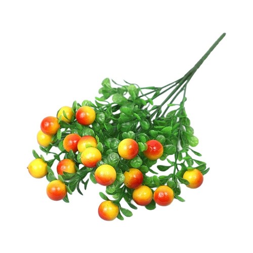 Plante fruitière fortune - , en