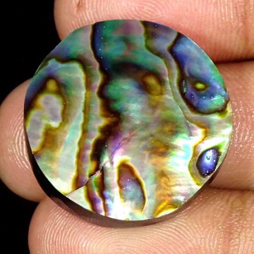 Cabochon coquillage abalone - cabochon,